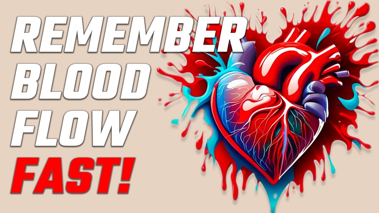 How to Remember Blood Flow Through The Heart | Effective & Fast Blood Flow Mnemonic Examples