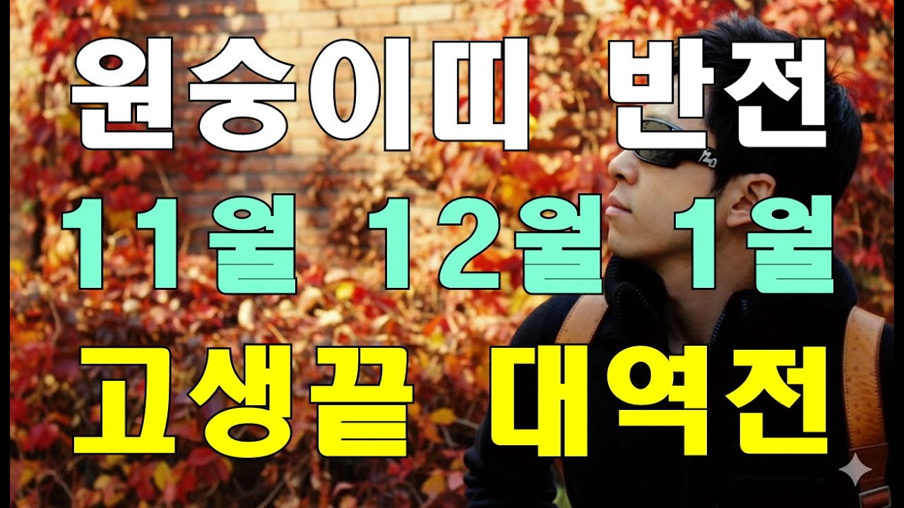 🌟명리학으로 본 원숭이띠의 25~26년 11월, 12월, 1월 운세(44년, 56년, 68년, 80년, 92년, 04년생) #사주팔자 #강북구성북구도봉구철학관