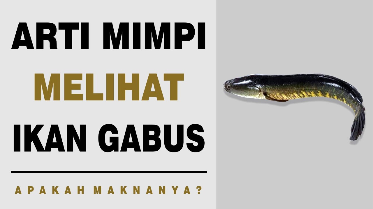 Arti Mimpi Melihat Ikan Gabus