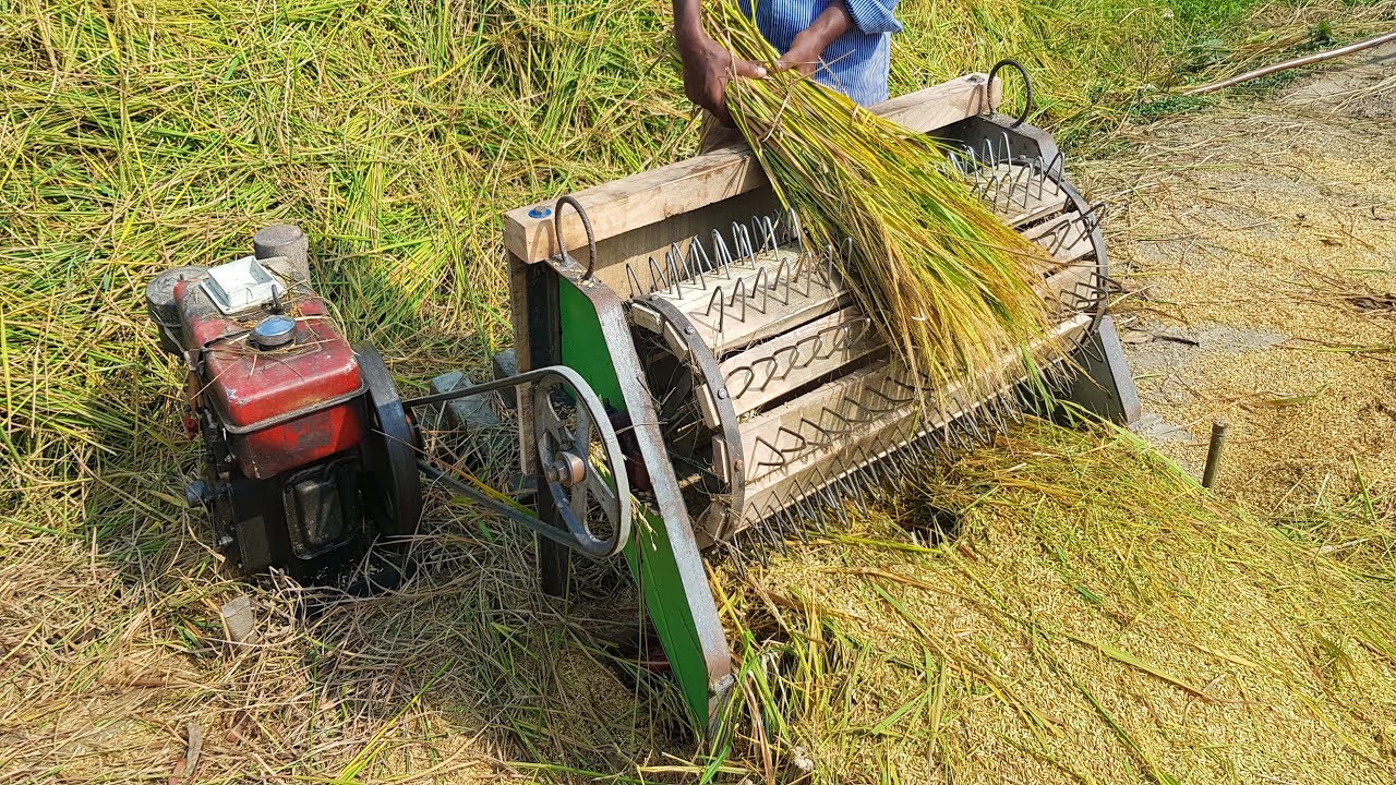 How to Make a Rice Thresher Machine at home - Rice Harvester Machine