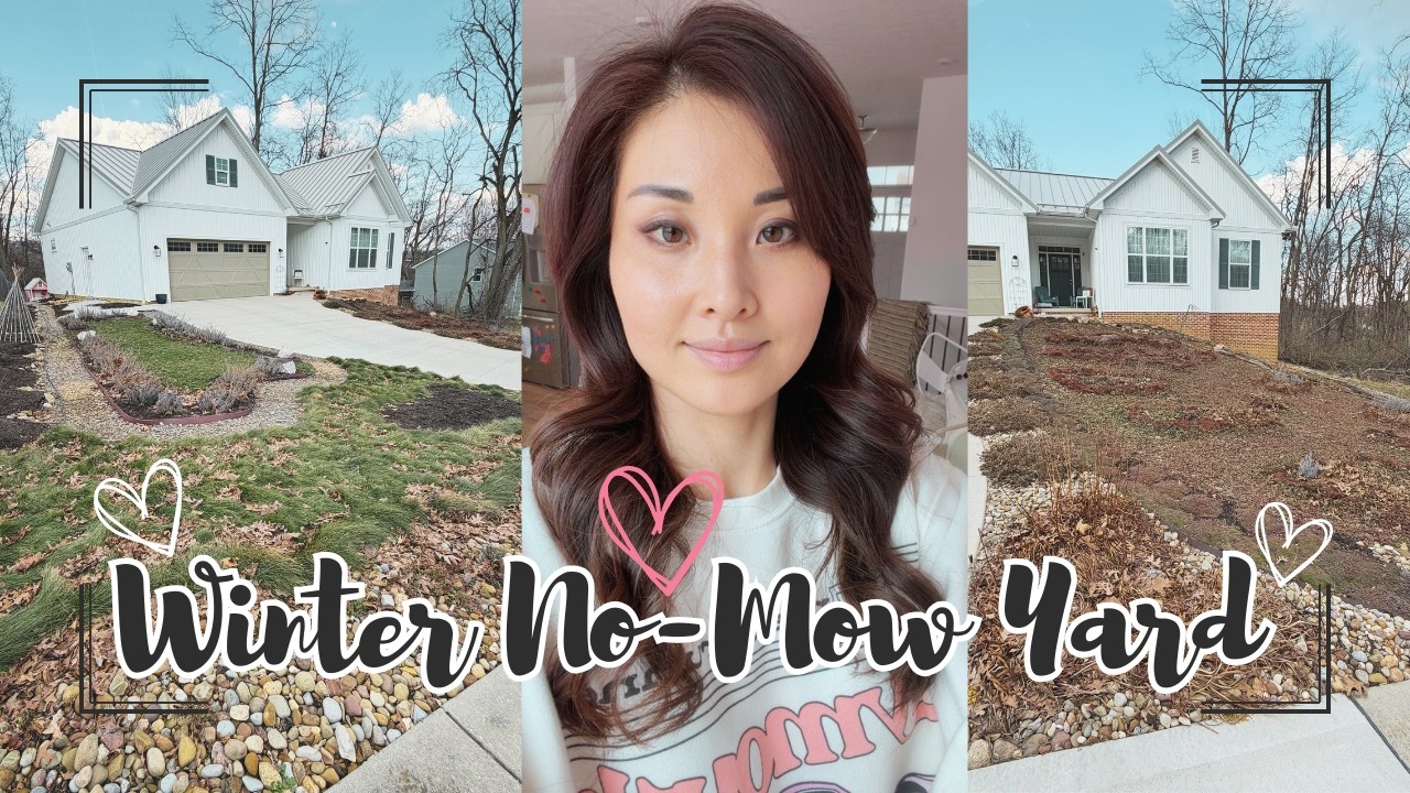 My No-Mow Yard in Winter | Lawn Alternatives to Traditional Turf