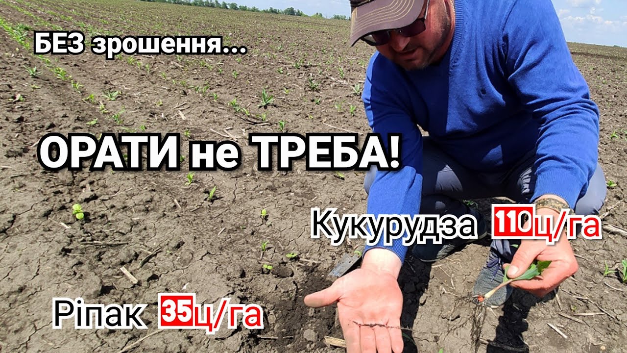 Плуг не треба! Cоняшник 45ц без зрошення. Сівалка Kuhn Maxima 3 круче Vaderstad? Ріпак по стерні