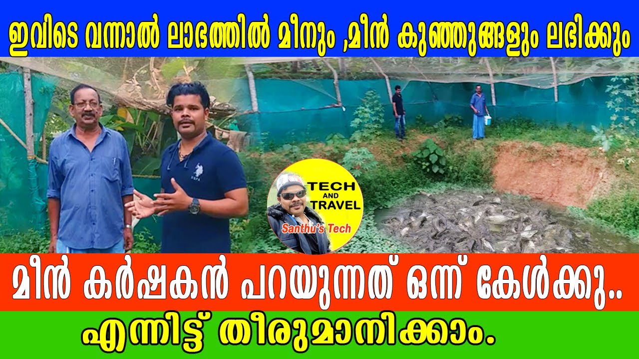 കുളത്തിലെ മീൻ കൃഷി അറിയേണ്ടതെല്ലാം | Fresh water | pond  fish farming kerala | Santhutech and travel