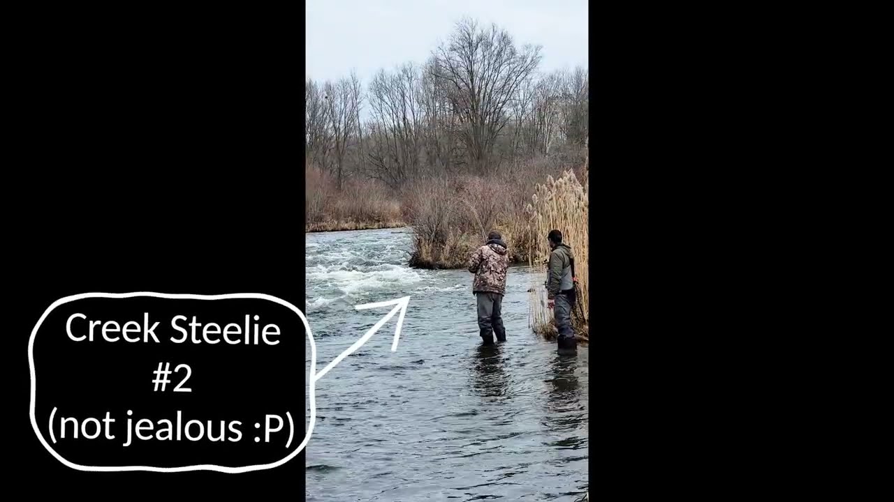 Reeling in BIG Steelhead in small streams ~
