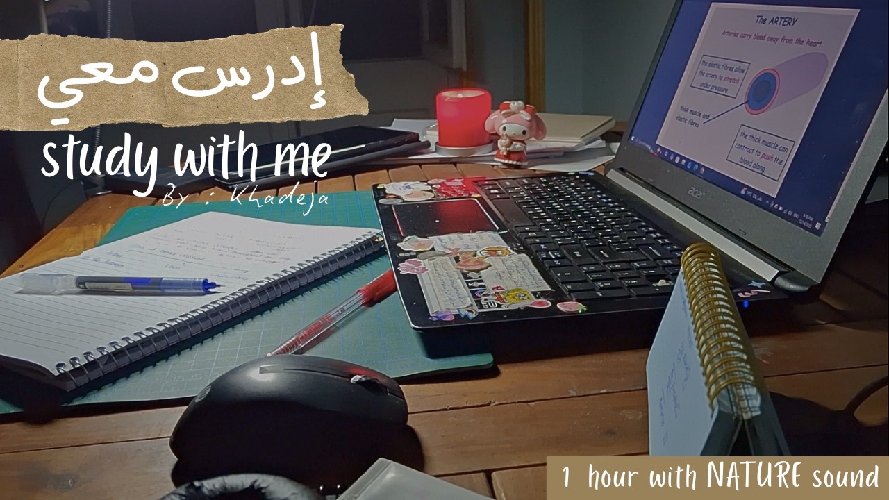 1 HOUR STUDY WITH ME | Nature Sound , No Break | ادرس معي لمدة ساعه مع أصوات الطبيعه ✨🌾