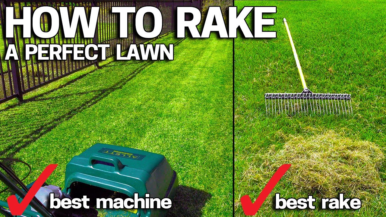 How to Dethatch & POWER RAKE your LAWN
