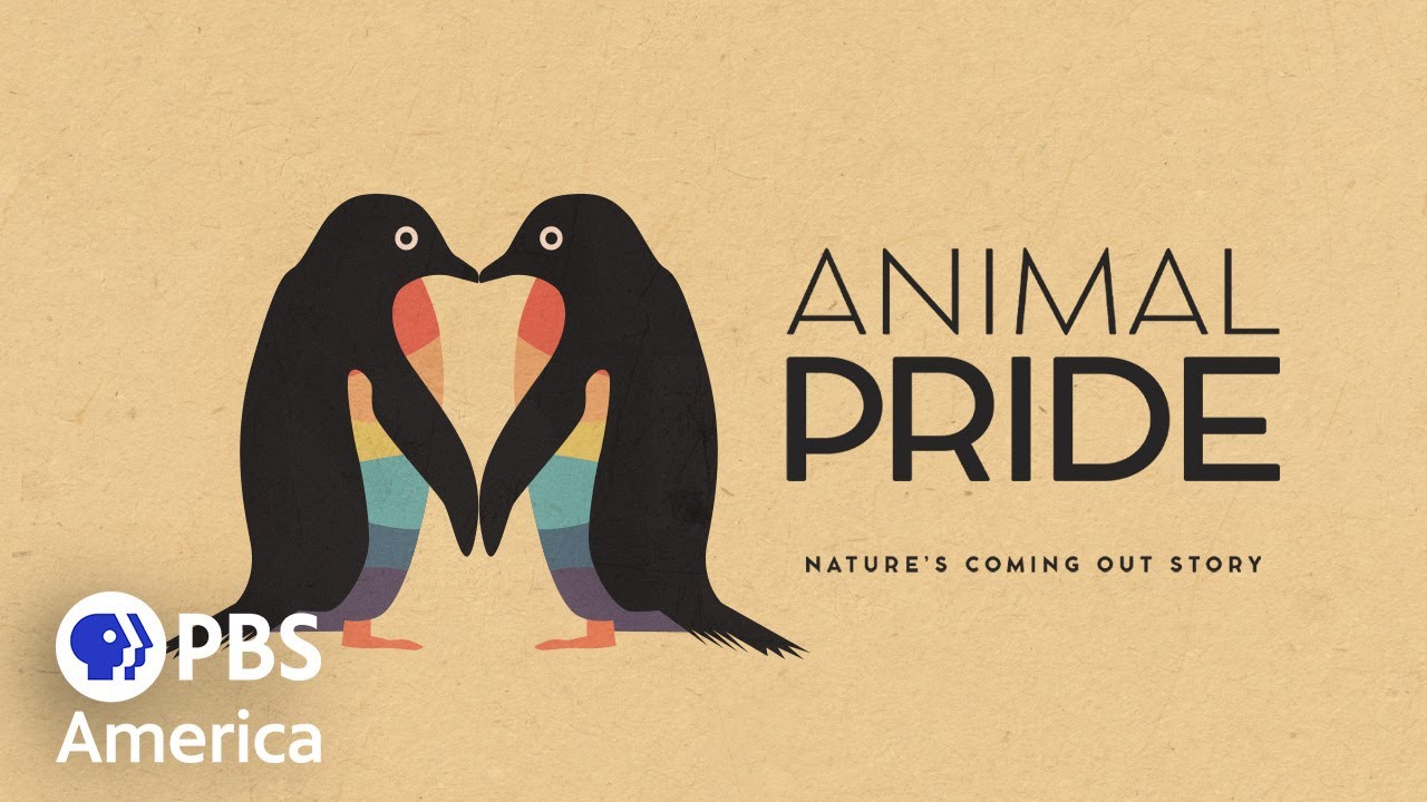 Animal Pride (2025) | Full Documentary