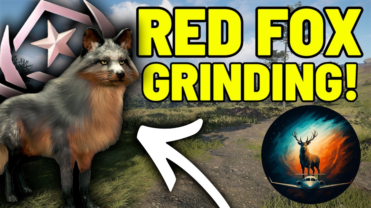 RED FOX GRINDING LIVE! - Call of the Wild