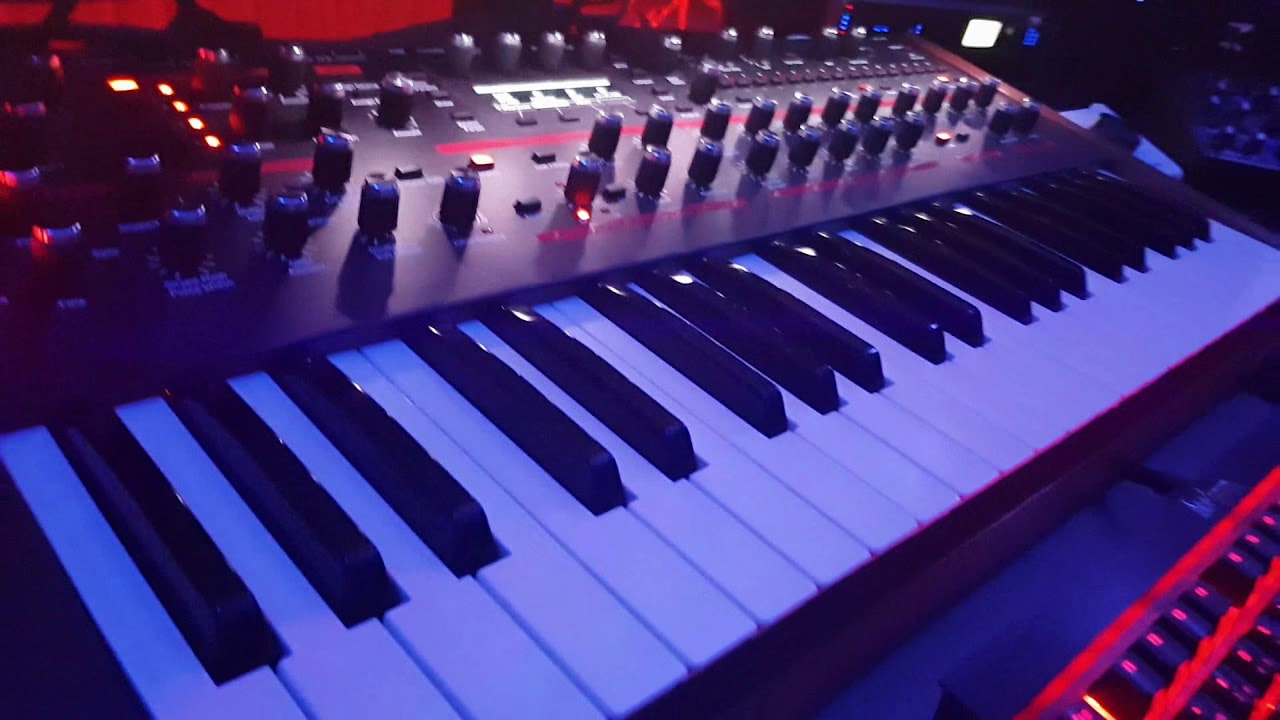Lyra 8,  DSI Prophet 12, Prophet REV 2 and PRO 2 Ambient