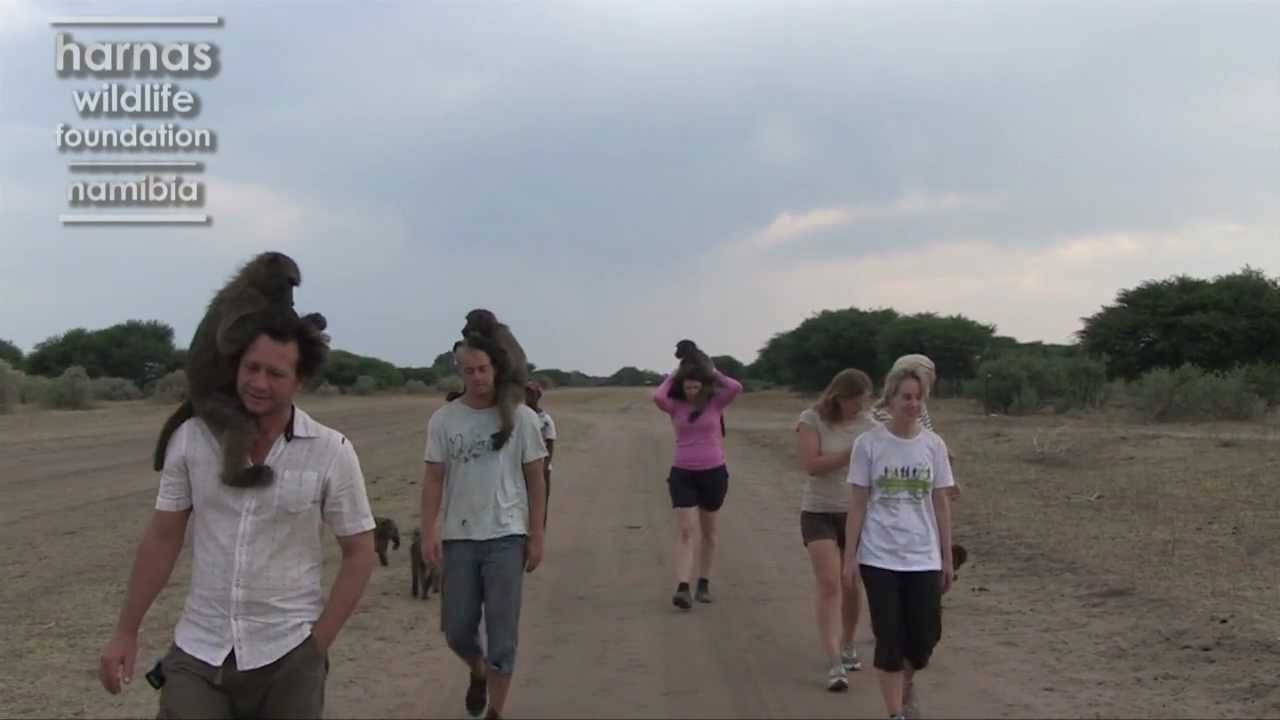 Harnas Wildlife Foundation | Spread Your Wings