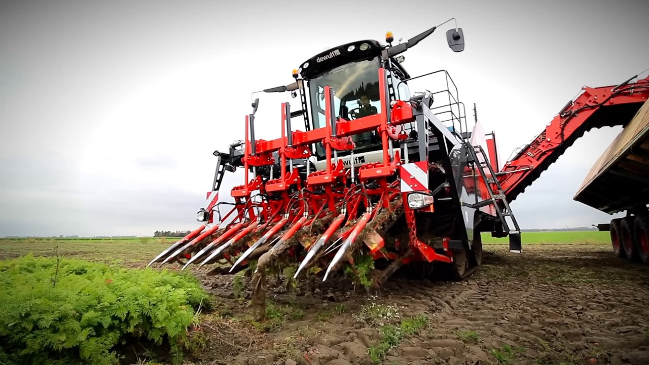 Dewulf ZKIV - 4-row self-propelled top lifting harvester