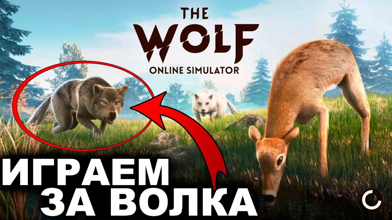 The Wolf Simulator