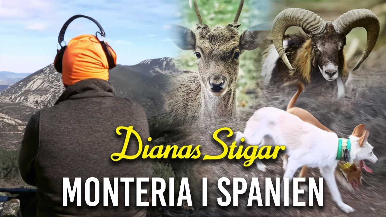 Dianas Stigar: Monteria i Spanien 2024