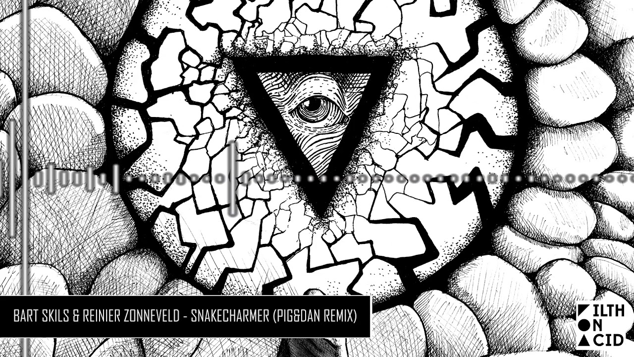 Bart Skils & Reinier Zonneveld - Snakecharmer (Pig&Dan Remix)
