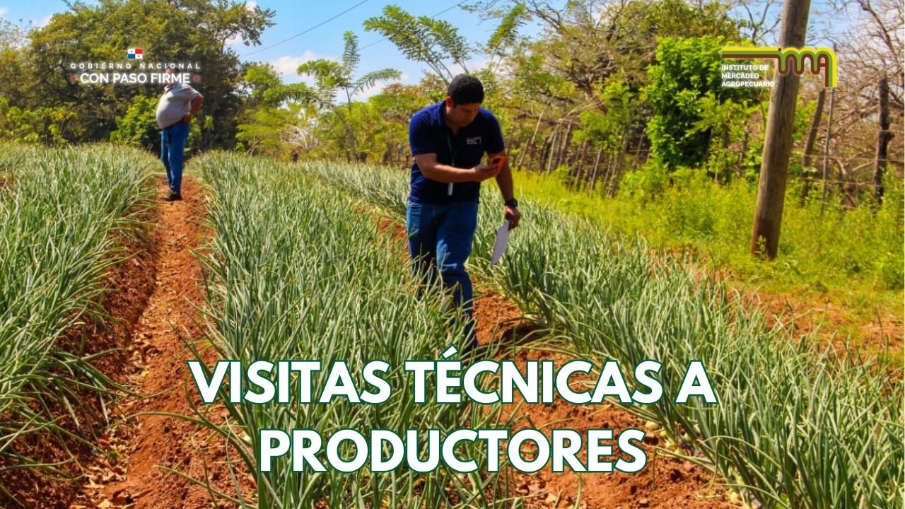IMA Herrera | Visitas técnicas a productores