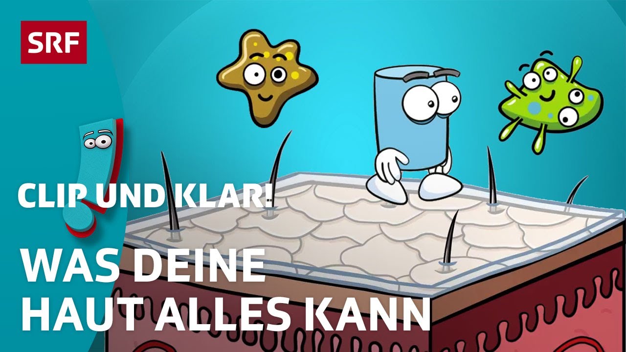Was kann deine Haut? | SRF Kids – Clip und klar! | Für Kinder erklärt