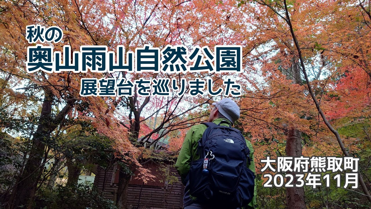 【週末さんぽ】紅葉と展望台を巡るハイキング 奥山雨山自然公園/大阪府泉南郡熊取町/2023年11月