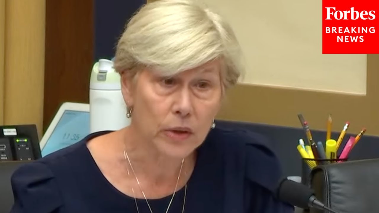 Deborah Ross: AI Companies Want Congressional Inaction 'So They Can do Whatever They Want To Do'
