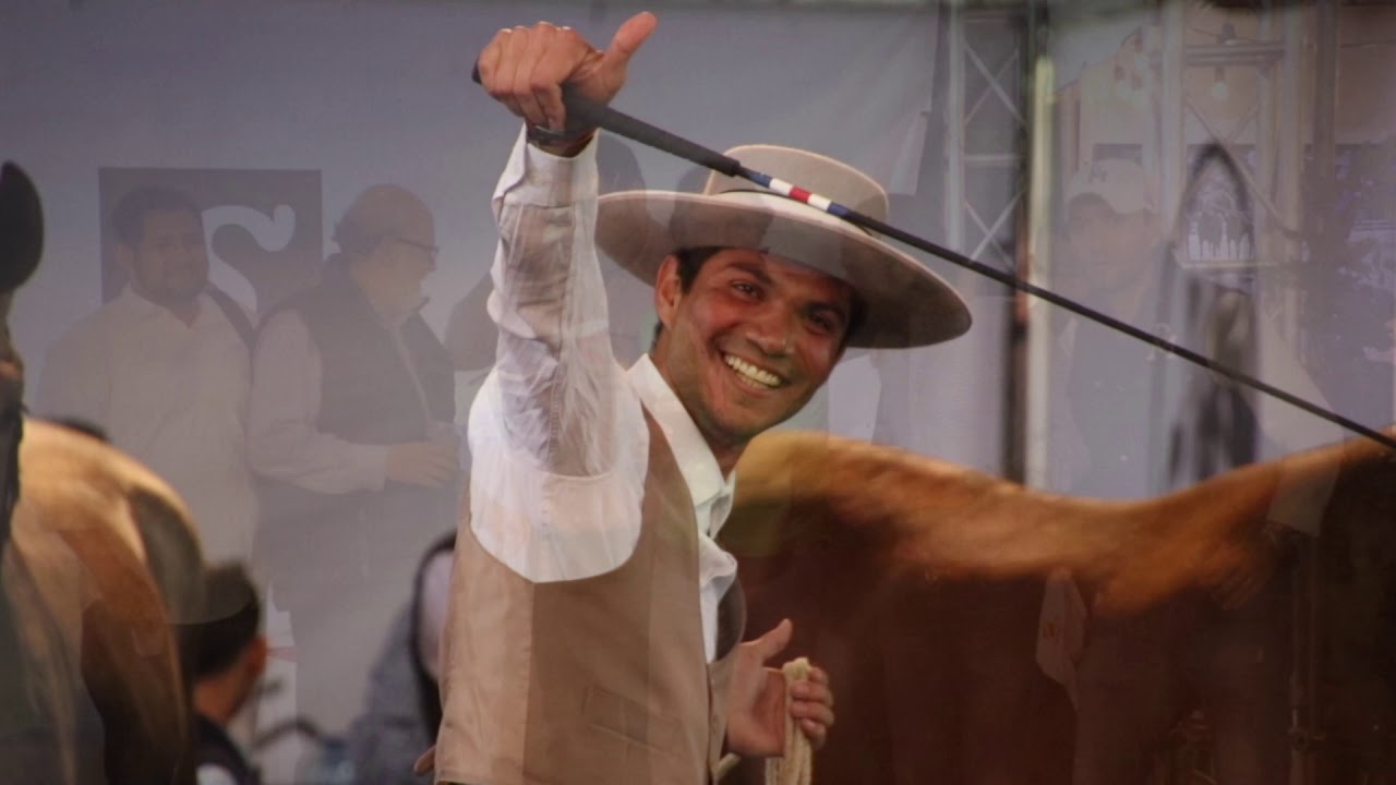 CAMPEONATO CENTROAMERICANO DE CABALLOS DE PURA RAZA ESPAÑOLA, FERPRE 2019