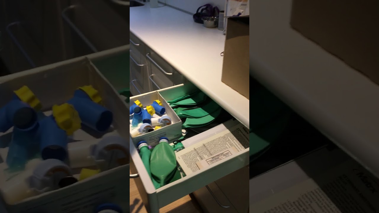 1) Setting up the T-piece circuit
