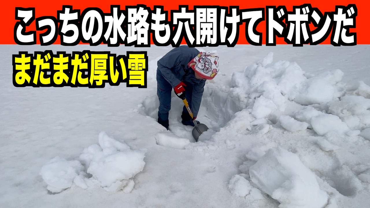 【ドボン】こっちの水路も穴掘って準備万端！でもまだまだ厚い雪！2026-03-14（土）！武七の除雪・雪かき日記　snowremoval snowplow ASMR