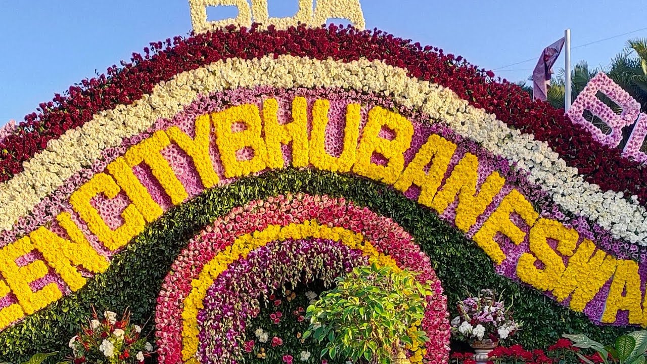 good morning friends 🌅 🌅