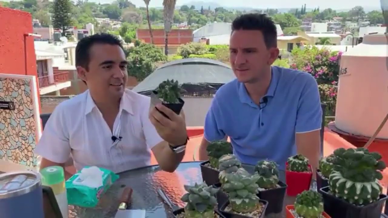 🪴 Macroinjertos de Ariocarpus con Aarón Labra 🪴