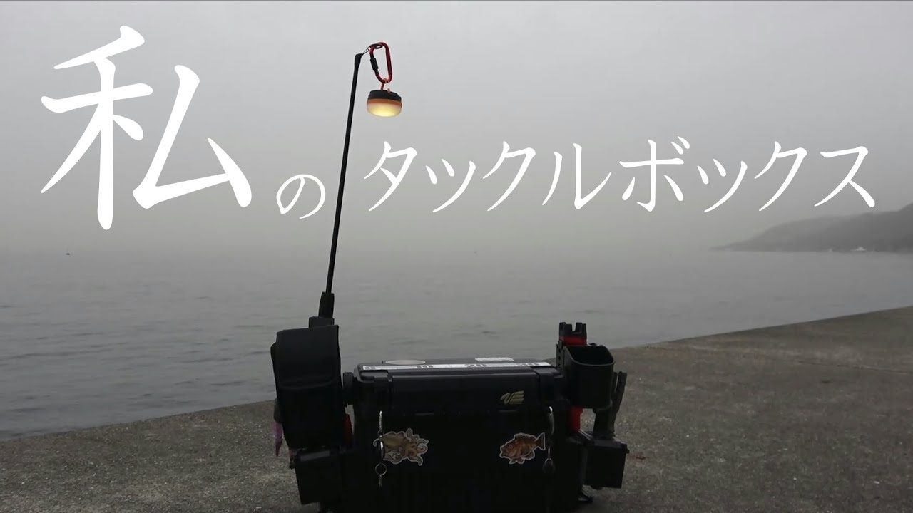 アジングがメインのタックルボックスを紹介します。