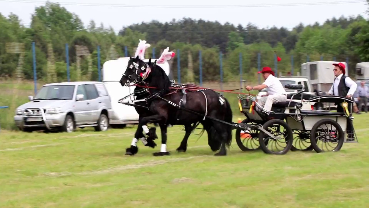 IX PARADA KONNA ŻARÓWKA 2017