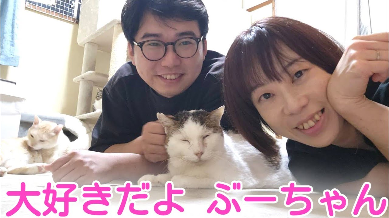 【一周忌】たくさん笑って泣いた二年間、ずっと忘れないよ　ぶーちゃん