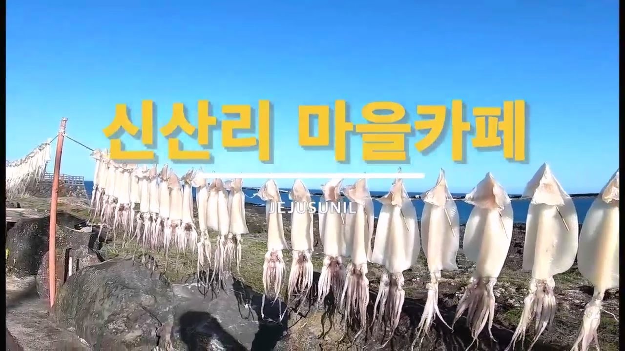 제주도 동쪽 해안도로 카페 신산리마을 뷰 좋아요