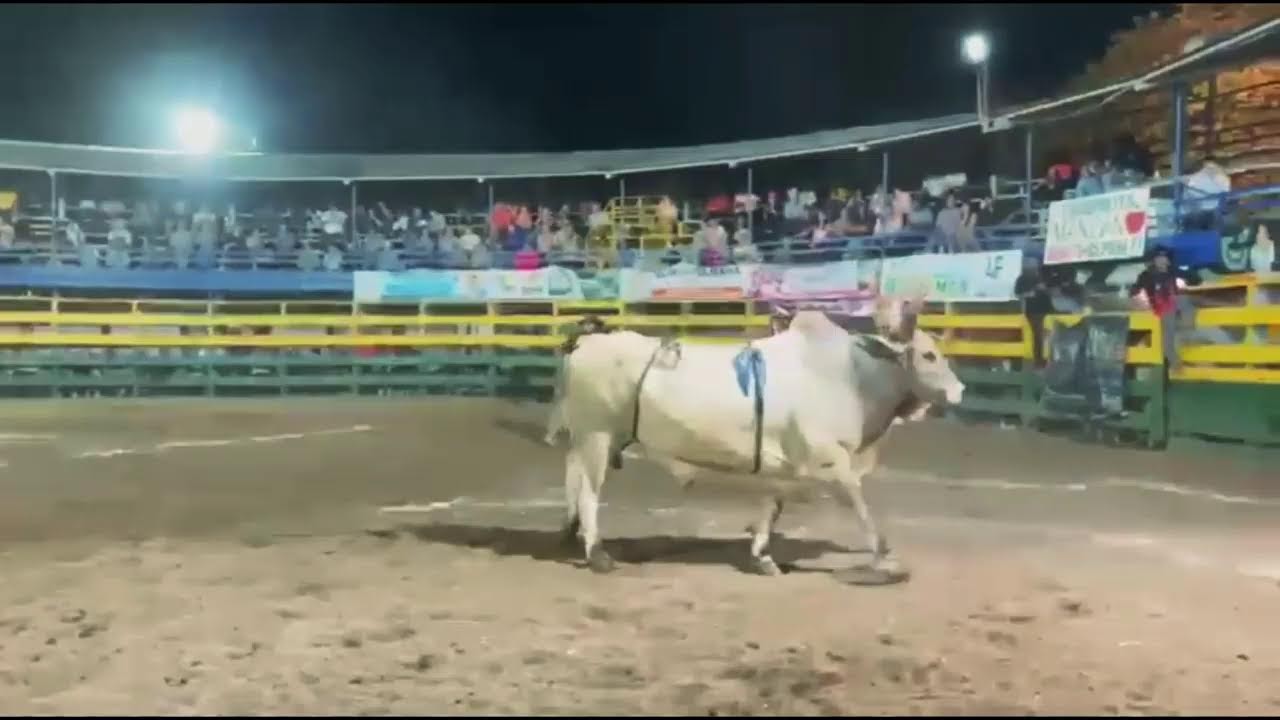 Costa Rica Toros TV