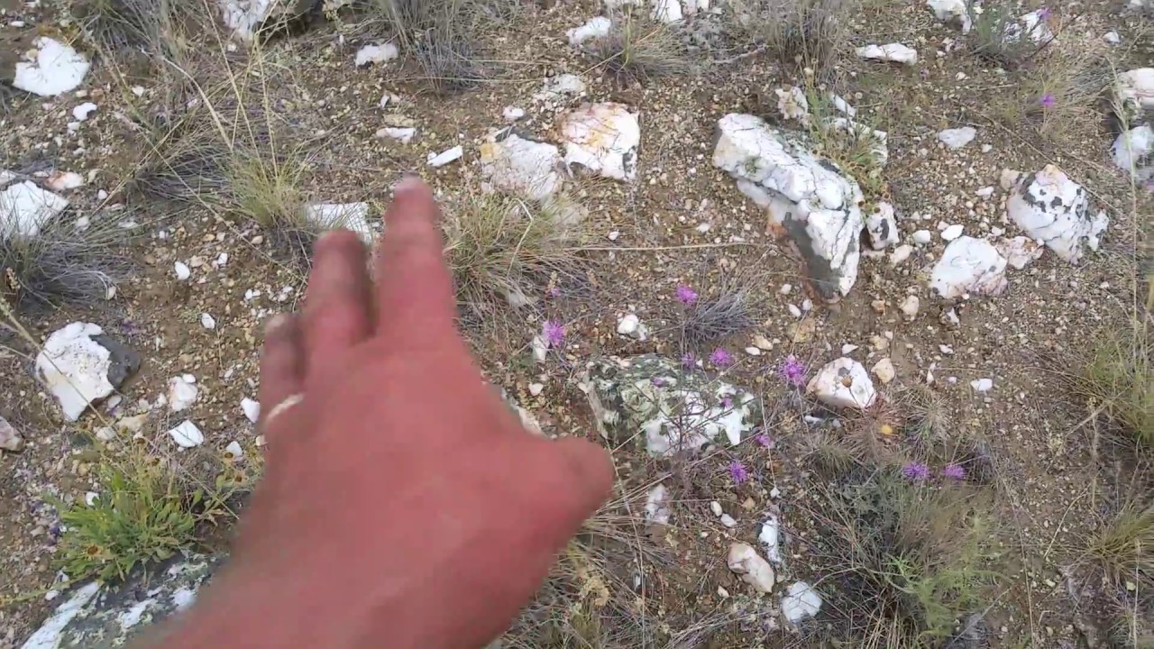 Tracking Quartz Float Up To Vein