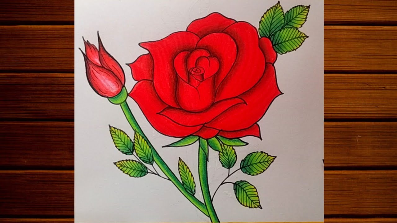 Rose drawing step by step| How to draw Red Rose|Valentine's day Special drawing| Rose Flower Drawing