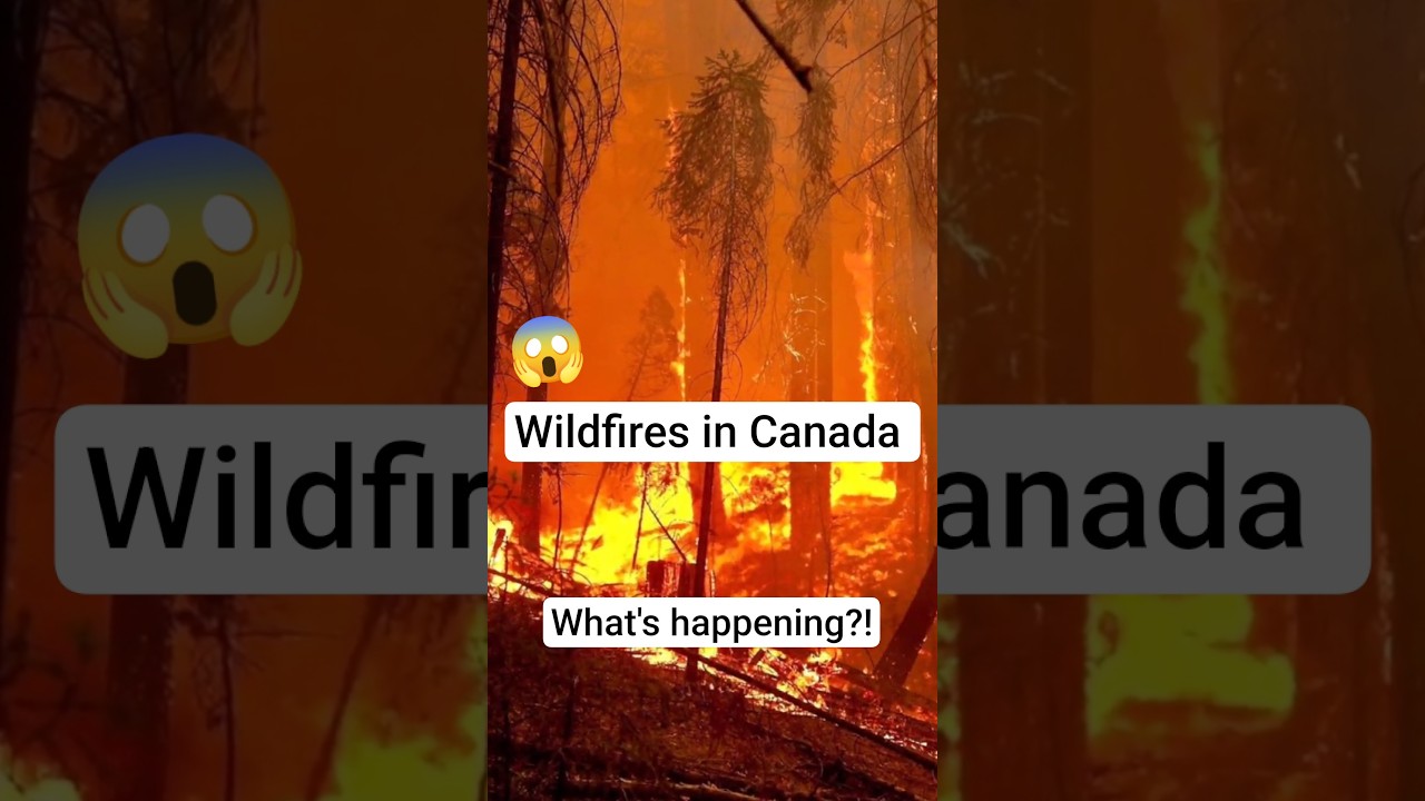Wildfires in Canada: Second Worst in History!