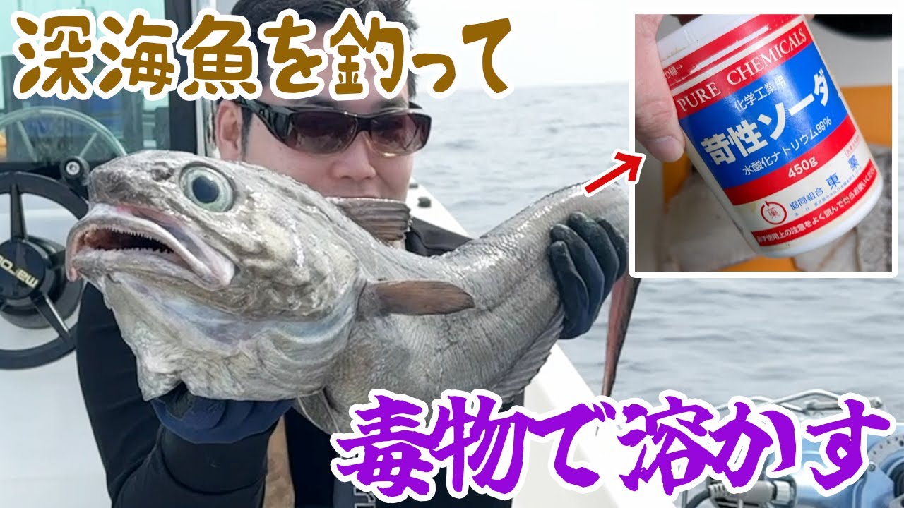 深海魚を釣って毒物で溶かす伝統料理