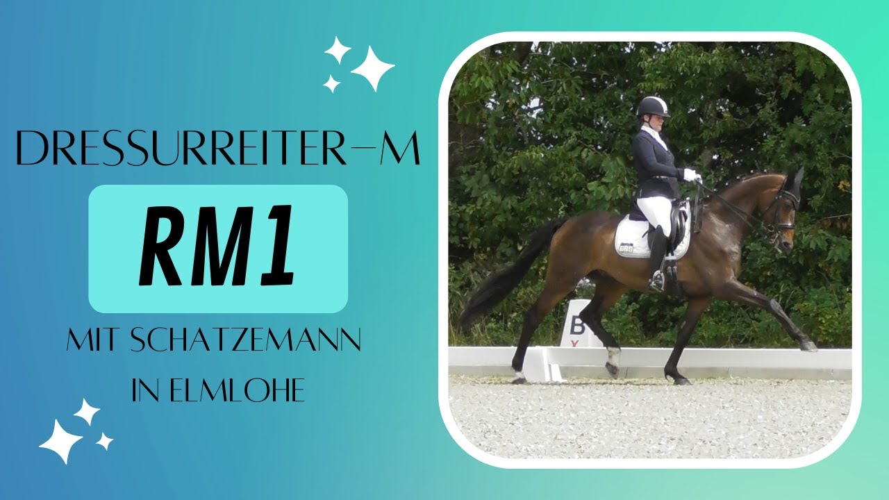 Dressurreiter-M (RM1) auf dem großen Turnier in Elmlohe! 😵 // #rinisreiterei