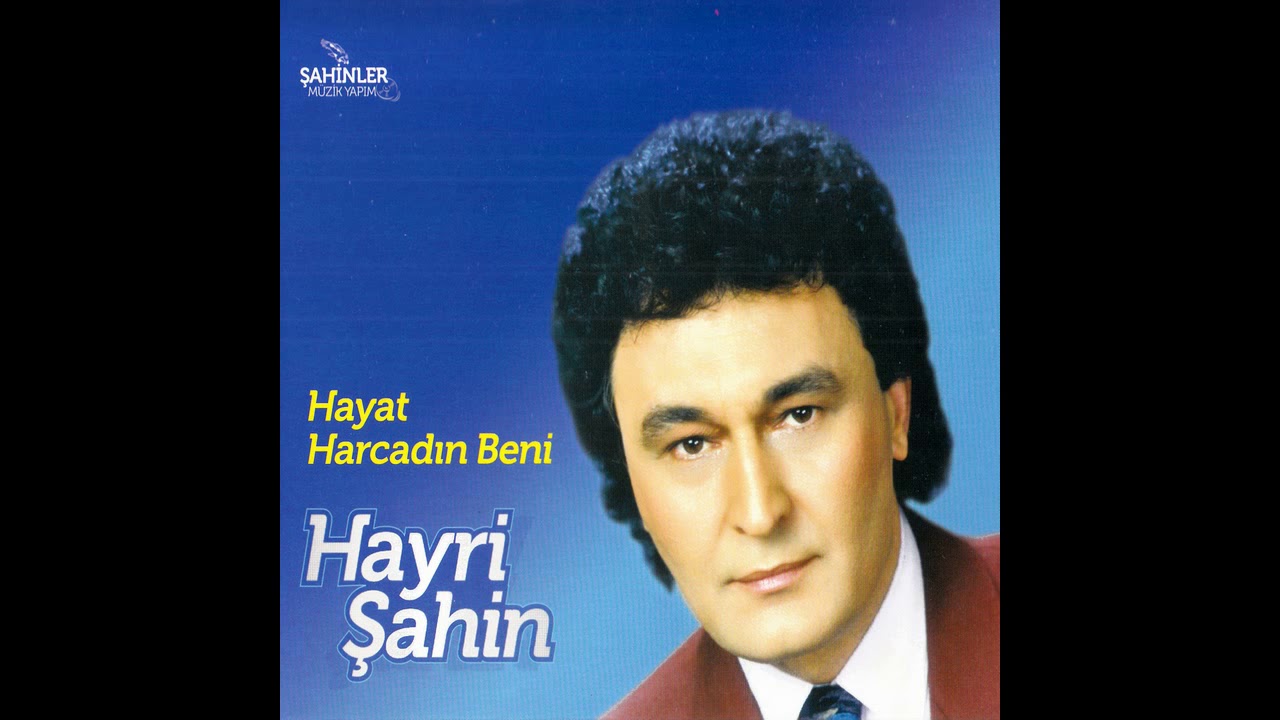 Hayri Şahin - Ben Kimi Ararım