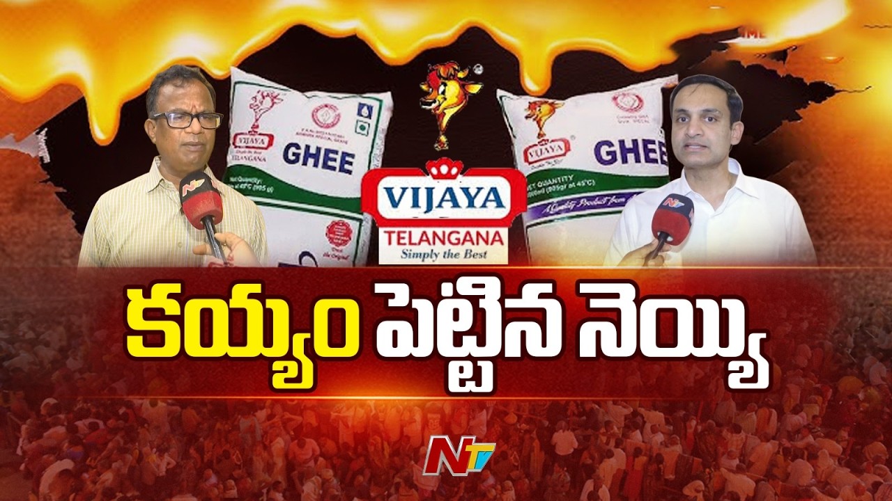 Vijaya Dairy controversy | AP vs Telangana | విజయ డైరీపై కల్తీ నెయ్యి వివాదం రచ్చ | NTV Telugu