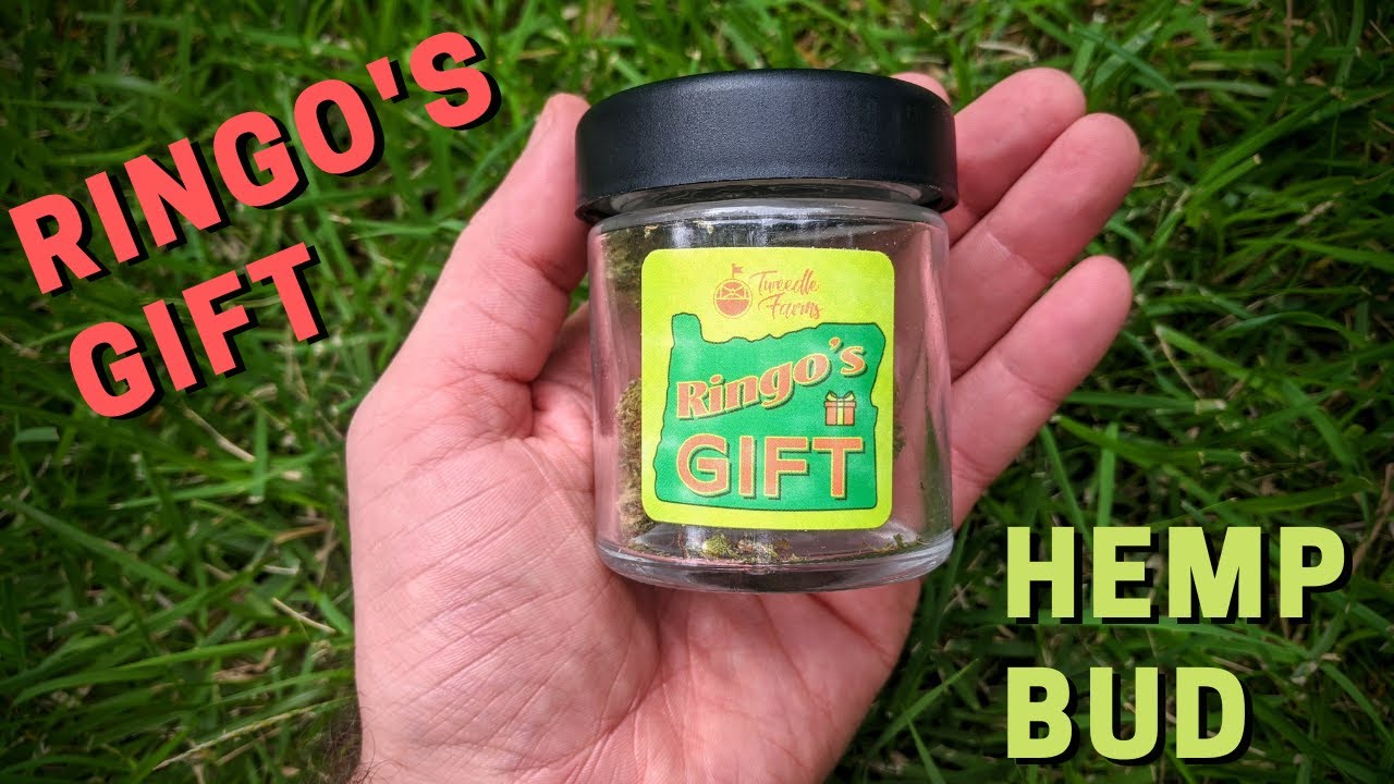 Ringo's Gift Bud Review (Tweedle Farms)