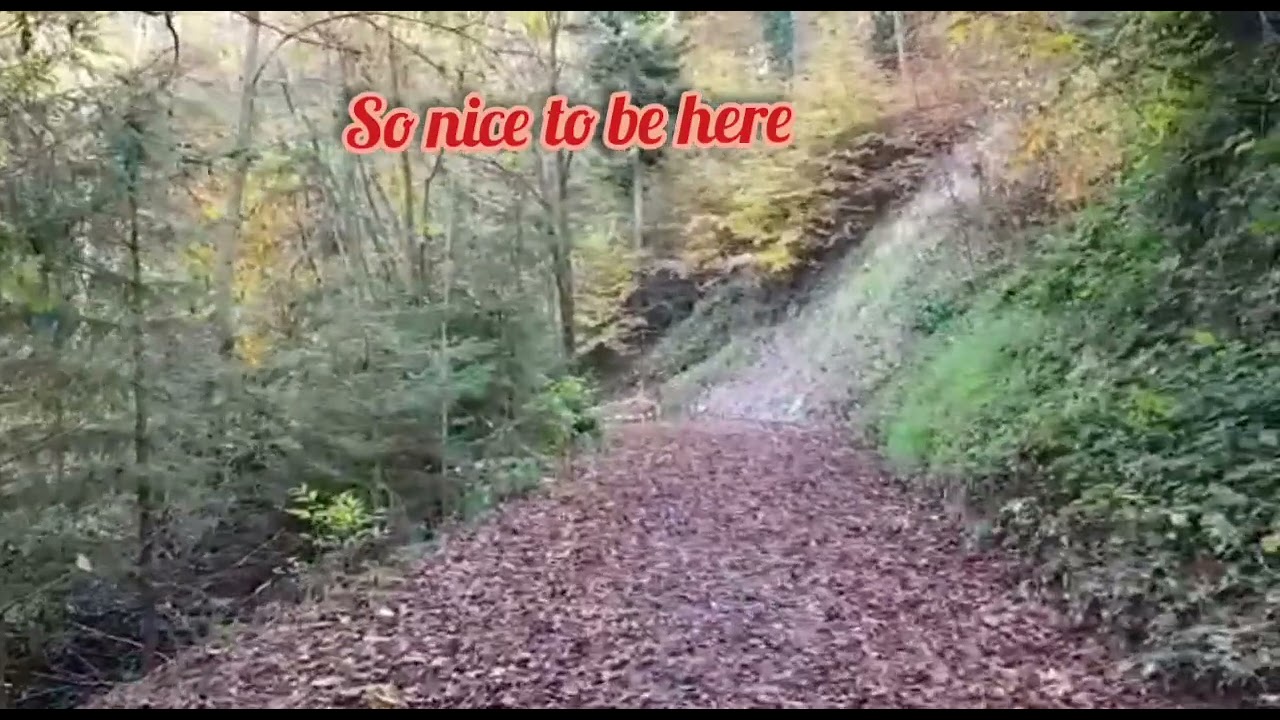 Relaxing Place with a beautiful nature