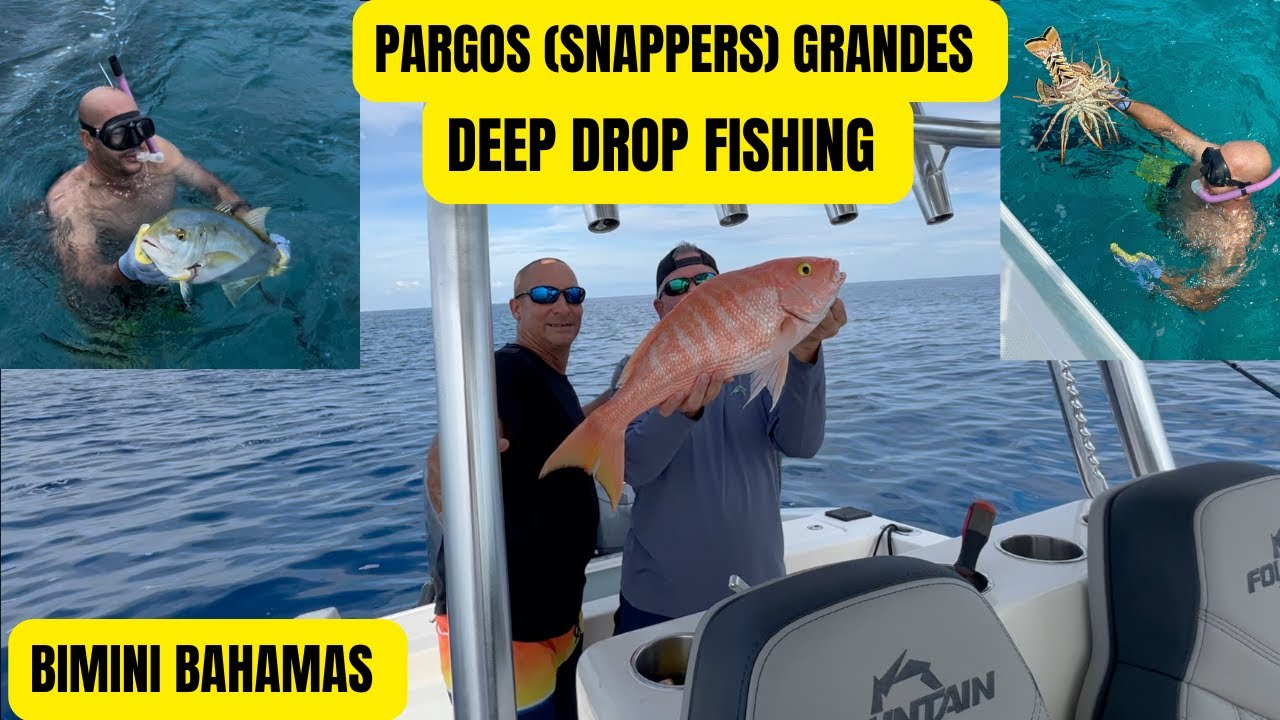 THE BEST OF DEEP DROP