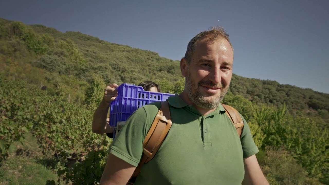 La Faraona 2023 de la bodega Descendientes de J  Palacios
