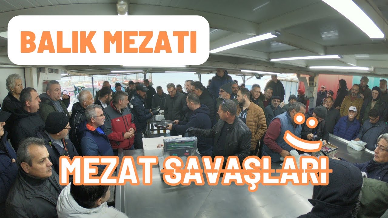 BÖYLE REKABET BAŞKA MEZATTA GÖRÜLMEDİ 28.01.2024 #balık #mezat #balıkmezatı
