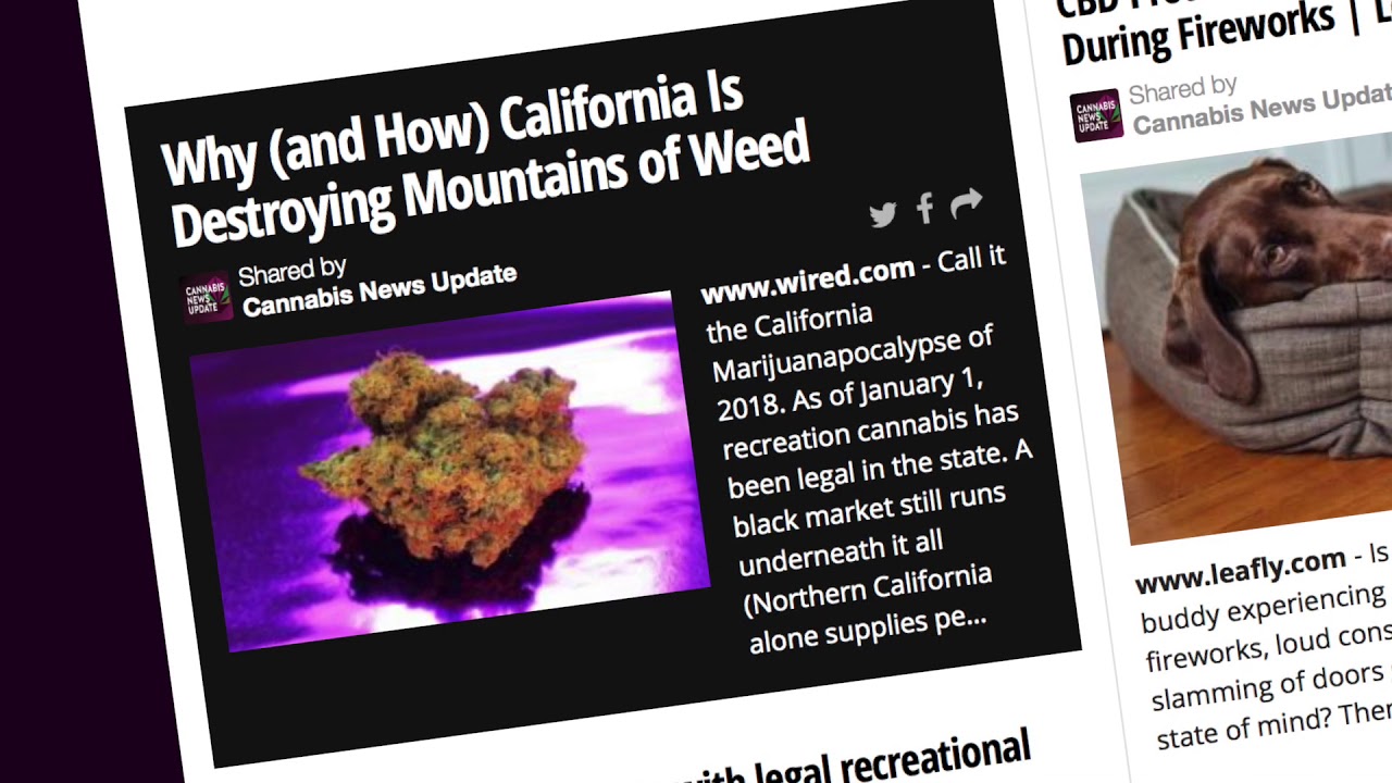 Cannabis News Update - July 2, 2018