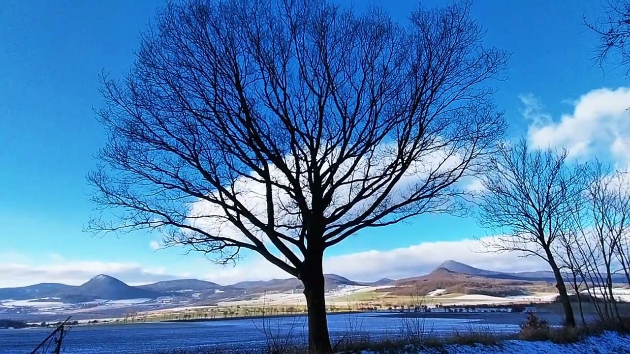 ❄️Rozplynutí zimního kouzla před vašima očima ☀️ Jak ojíněné České středohoří roztálo za pár minut