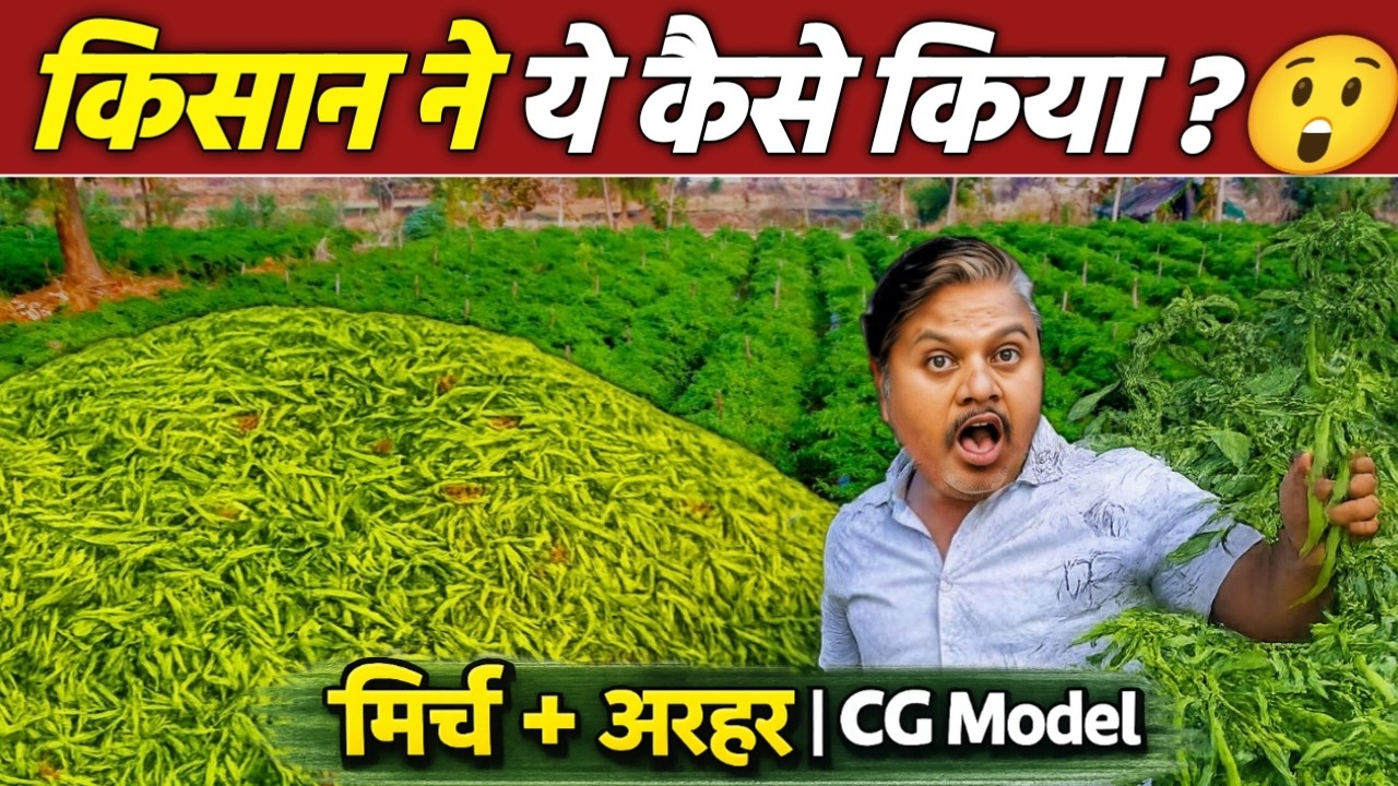 किसान ने ये कैसे किया? 😮 | मिर्च + अरहर Farming Model | Sarangarh Chhattisgarh