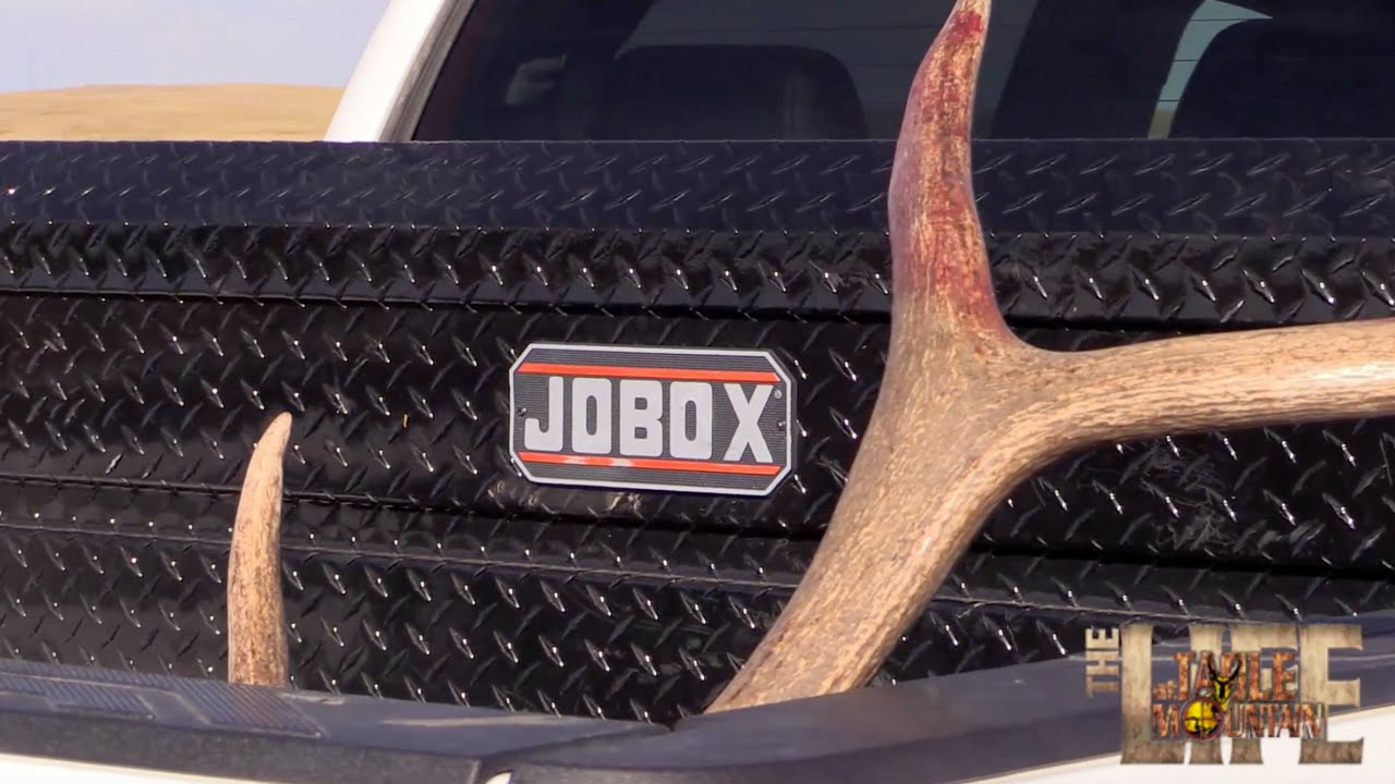 JOBOX® Elk Hunt Sweepstakes 2015 - Table Moutain Outfitters