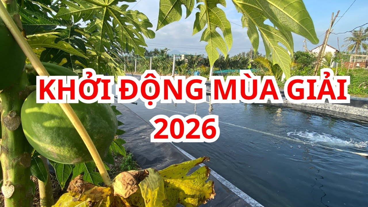 Bước vào mùa vụ mới 2026