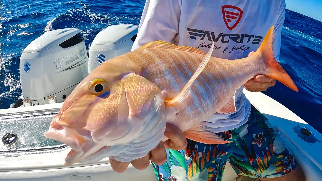 Big Snapper a DANGEROUS Gas Leak on my Boat and Rough Sea’s  (Catch & Cook)